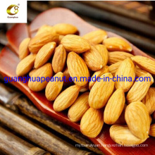 Xinjiang Specialty Almond Nonpareil Roasted